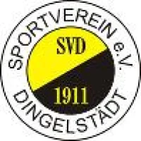 SV 1911 Dingelstädt