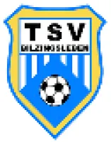 TSV 1990 Bilzingsleben